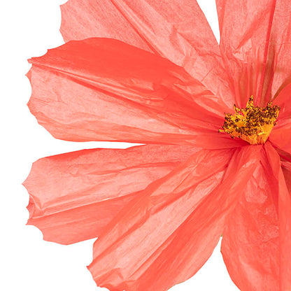 Giant Paper Cosmos Flower Set 2 Coral (160cmH)