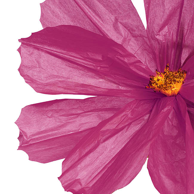 Giant Paper Cosmos Flower Set 2 Purple (160cmH)