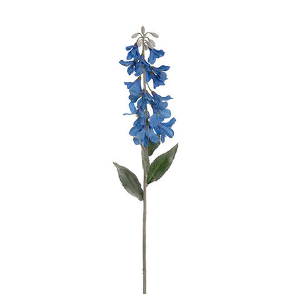 Creeping Bellflower Blue (82cmH)