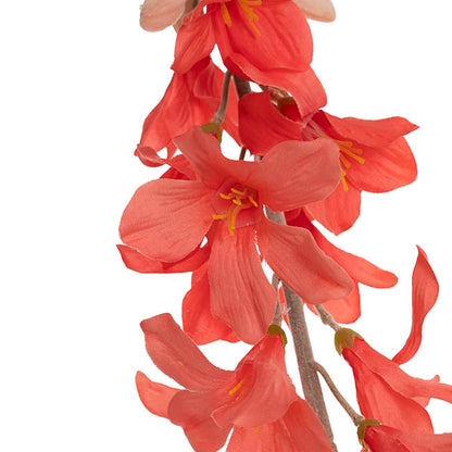 Creeping Bellflower Coral (82cmH)