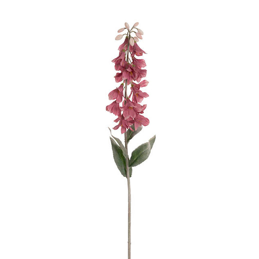 Creeping Bellflower Dusty Pink (82cmH)