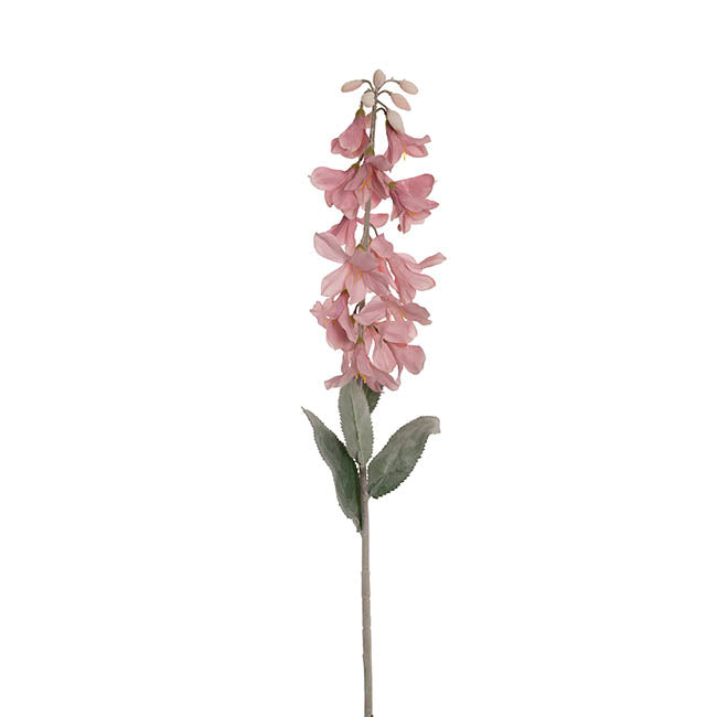 Creeping Bellflower Soft Pink (82cmH)