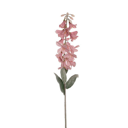 Creeping Bellflower Soft Pink (82cmH)