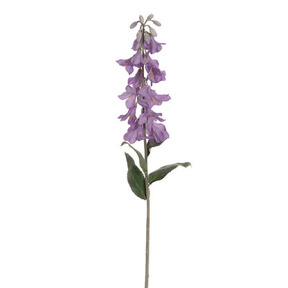 Creeping Bellflower Purple (82cmH)