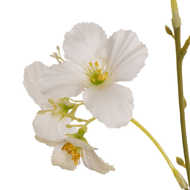Raspberry Flower Spray White (65cmH)