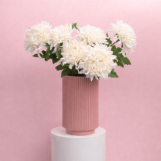 Giant Chrysanthemum Stem Off White (21cmDx65cmH)