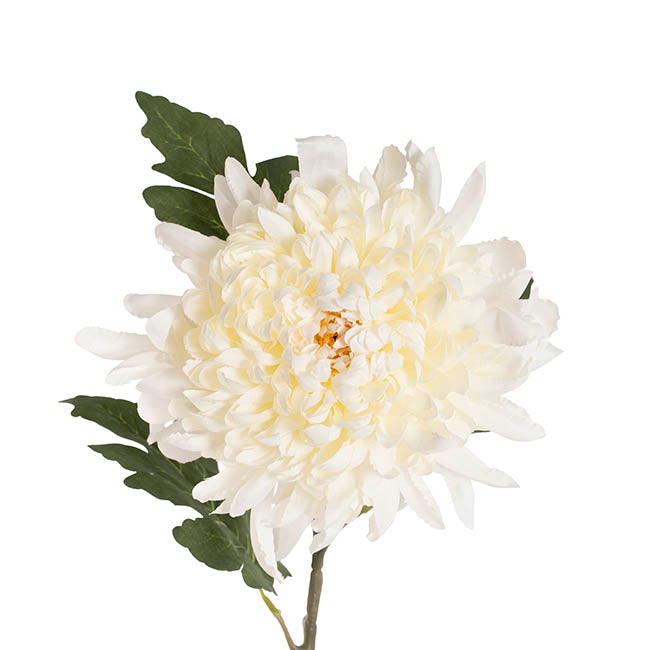 Giant Chrysanthemum Stem Off White (21cmDx65cmH)