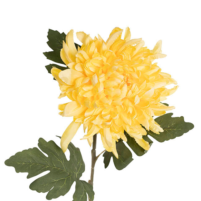 Giant Chrysanthemum Stem Yellow (21cmDx65cmH)