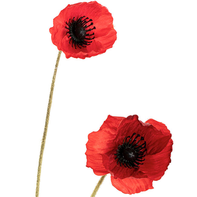 Poppy Spray 4x Flowers Black Centre Red (58cmH)