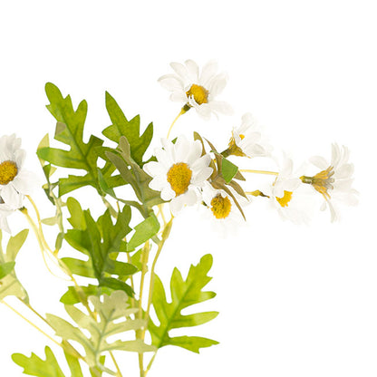 Daisy Spray 15x Flowers White (3.5cmDx63cmH)