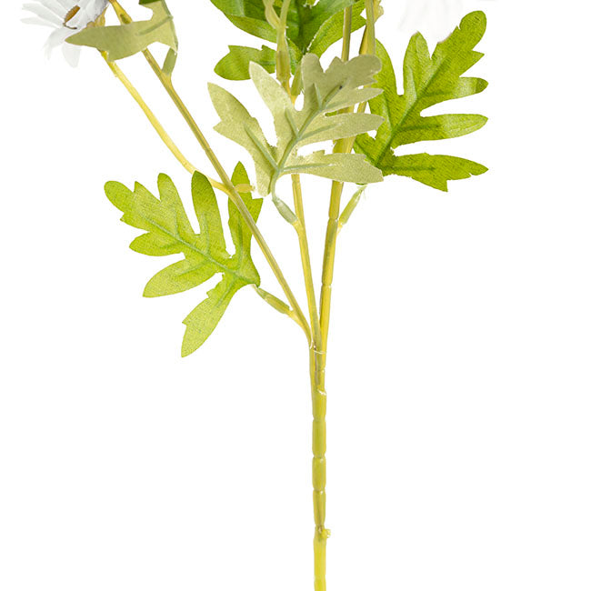 Daisy Spray 15x Flowers White (3.5cmDx63cmH)