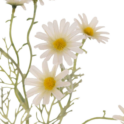 Daisy Spray 20x Flowers White (3.5cmDx72cmH)