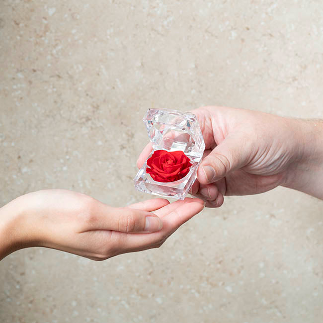 Mini Diamond Shape Acrylic Box Clear (4.5cmH)