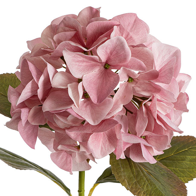 Real Look Hydrangea Dusty Pink (16cmDx65cmH)