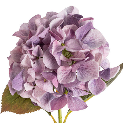 Real Look Hydrangea Soft Purple (16cmDx65cmH)