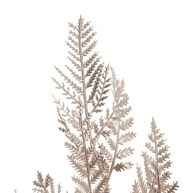 Bracken Fern Spray Metallic Champagne (86cmH)