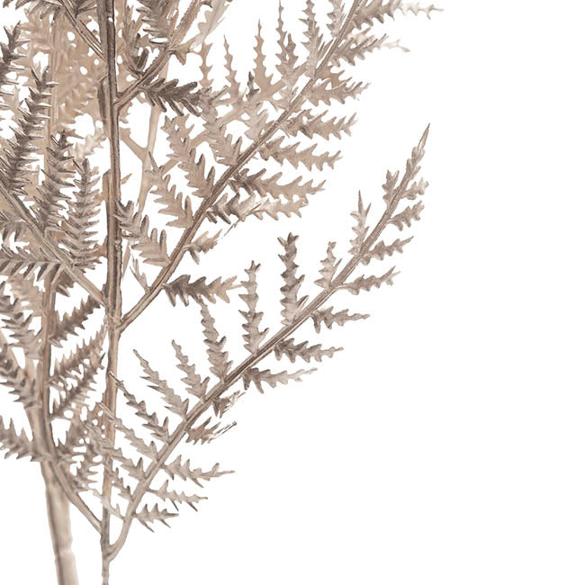 Bracken Fern Spray Metallic Champagne (86cmH)
