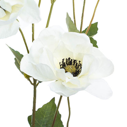 Inaya Anemone Spray White (95cmH)