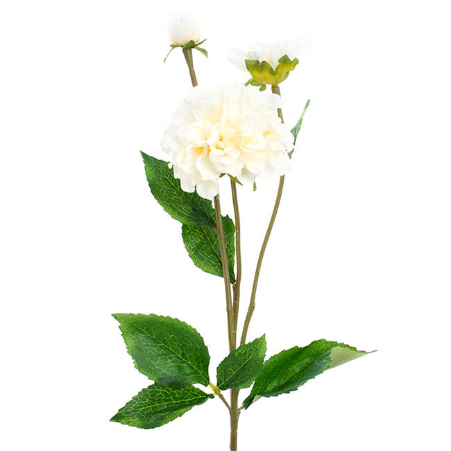 Barla Zinnia Spray Light Champagne (67cmH)