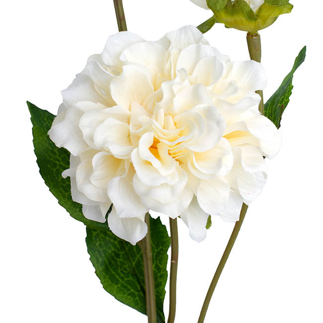 Barla Zinnia Spray Light Champagne (67cmH)