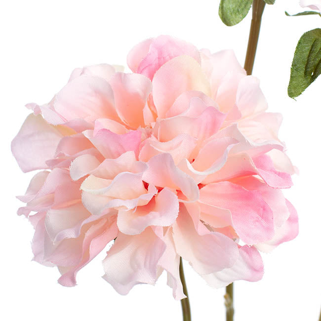 Barla Zinnia Spray Light Pink  (67cmH)