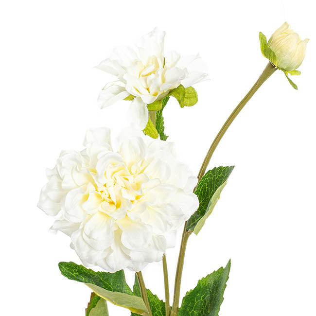 Barla Zinnia Spray White  (67cmH)