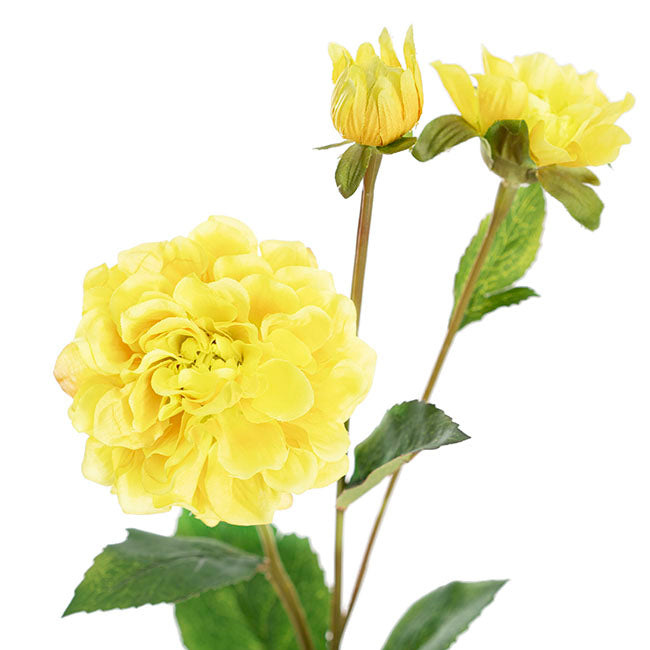 Barla Zinnia Spray Soft Yellow (67cmH)