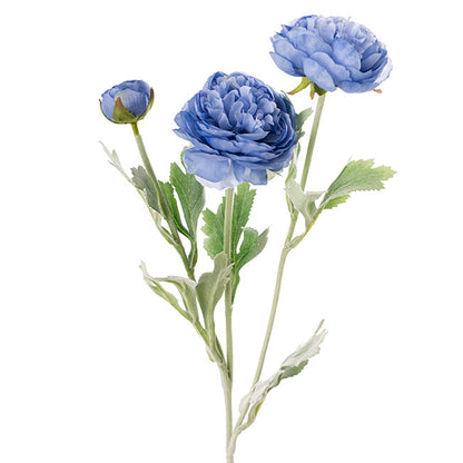 Buttercup Ranunculus Spray x3 French Blue (52cmH)