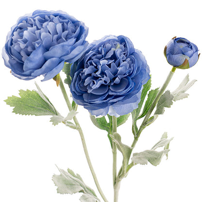 Buttercup Ranunculus Spray x3 French Blue (52cmH)