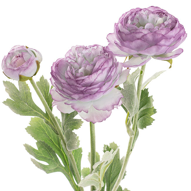 Buttercup Ranunculus Spray x3 Soft Purple (52cmH)