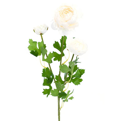 Helena Ranunculus Spray Cream (61cmH)