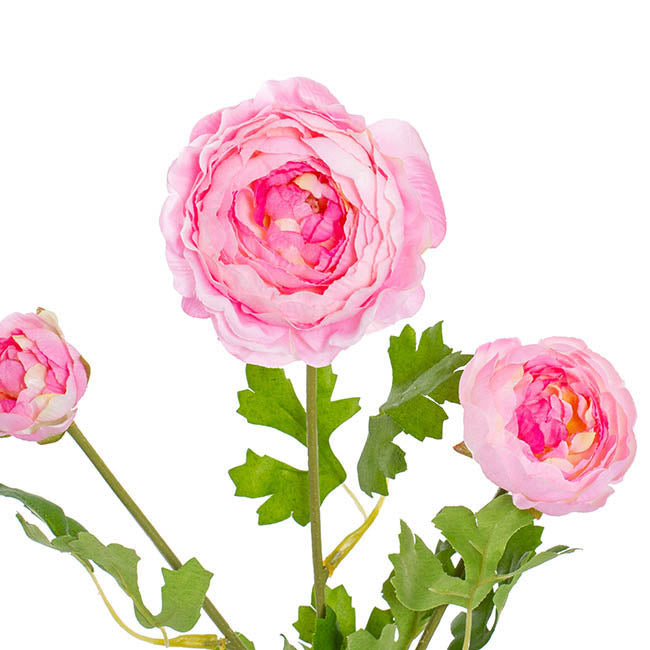 Helena Ranunculus Spray Pink (61cmH)