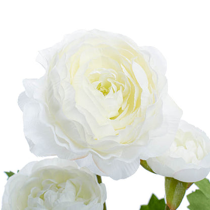 Helena Ranunculus Spray White (61cmH)