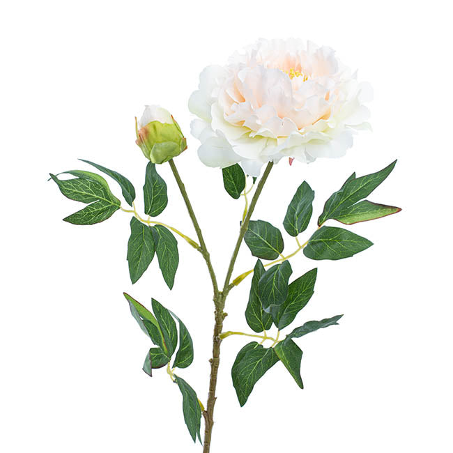 Evelyn Peony Spray Champagne (70cmH)