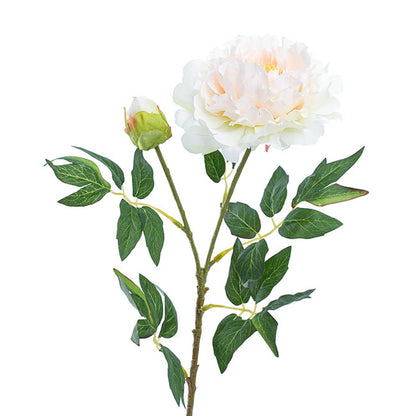 Evelyn Peony Spray Champagne (70cmH)