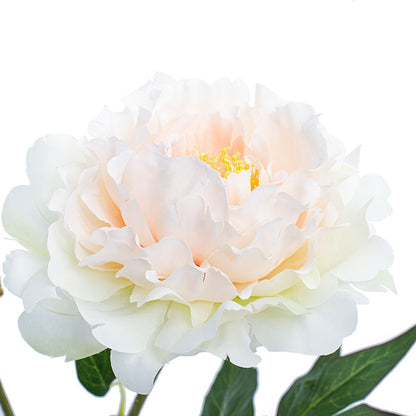 Evelyn Peony Spray Champagne (70cmH)