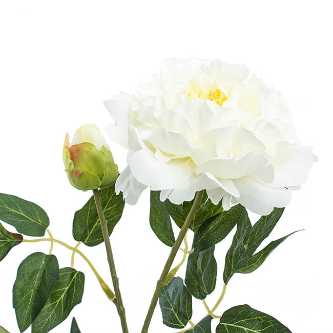 Evelyn Peony Spray White (70cmH)