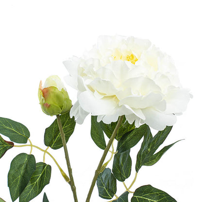 Evelyn Peony Spray White (70cmH)
