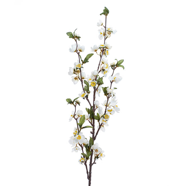 Ludy Apple Flower Spray White (99cmH)