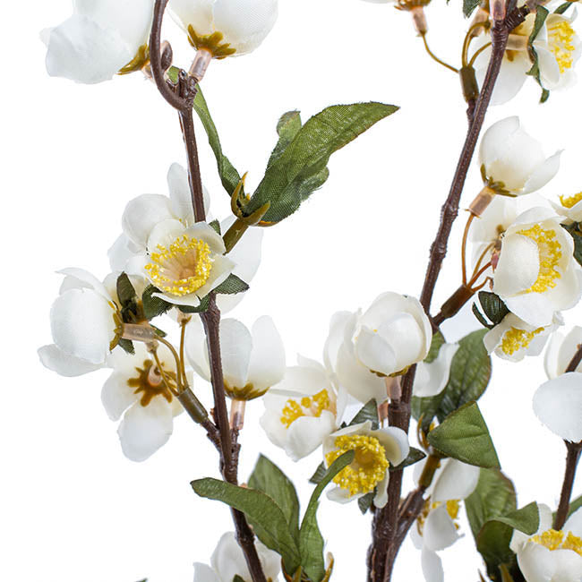 Ludy Apple Flower Spray White (99cmH)