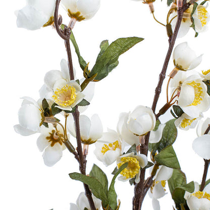 Ludy Apple Flower Spray White (99cmH)