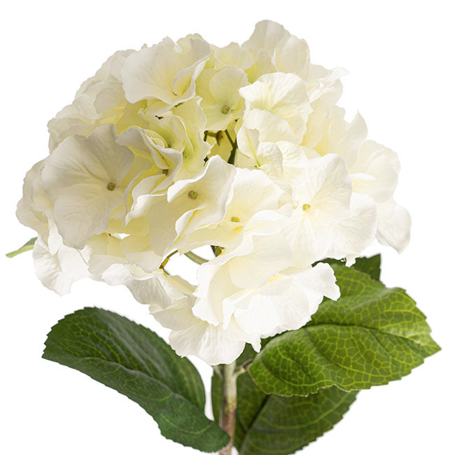 Hannah Hydrangea Spray White (93cmH)