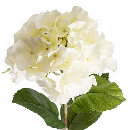 Hannah Hydrangea Spray White (93cmH)