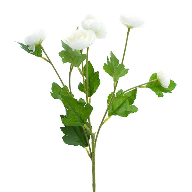 Mini Ranunculus Spray Cream (67cmH)