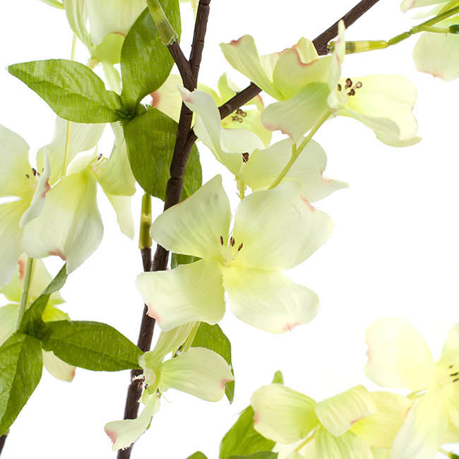 Dogwood Flower Spray Light Green (103cmH)