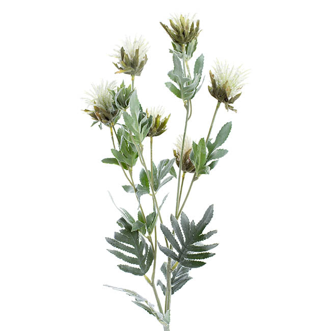 Thistle Flower White (83cmH)