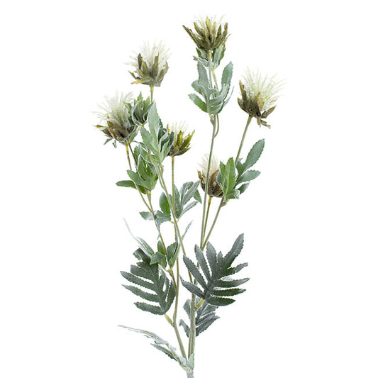 Thistle Flower White (83cmH)