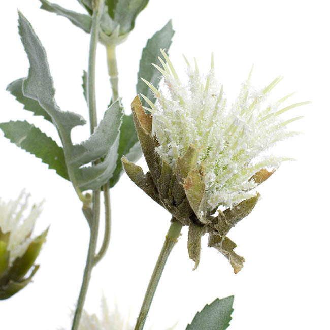 Thistle Flower White (83cmH)