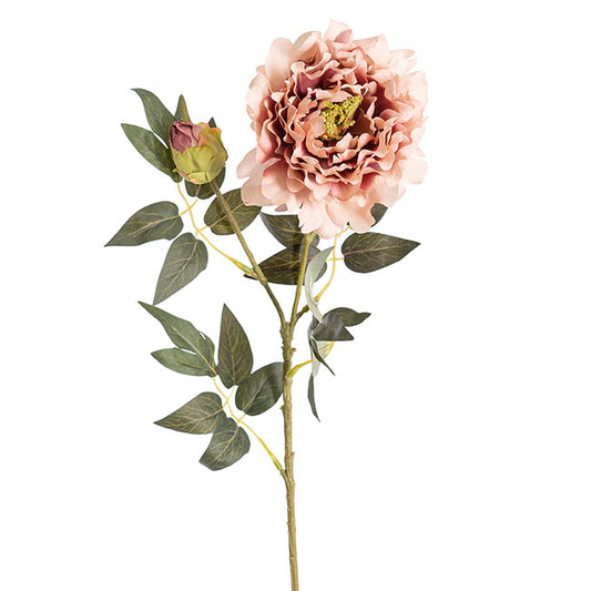 Vintage Peony Spray Dusty Pink (70cmH)