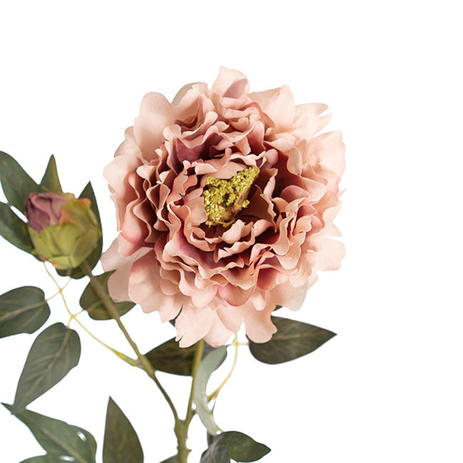 Vintage Peony Spray Dusty Pink (70cmH)